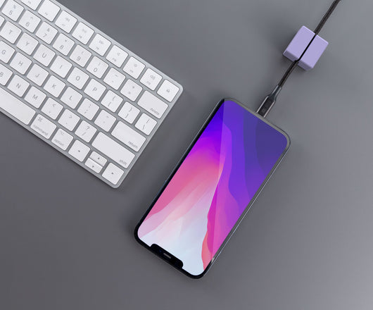 STAY CABLE - (USB C to Lightning) Black